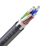 Кабель TOKOV ELECTRIC АВБШв 5х10 ОК (N PE) 0.66кВ (м) УТ000030779